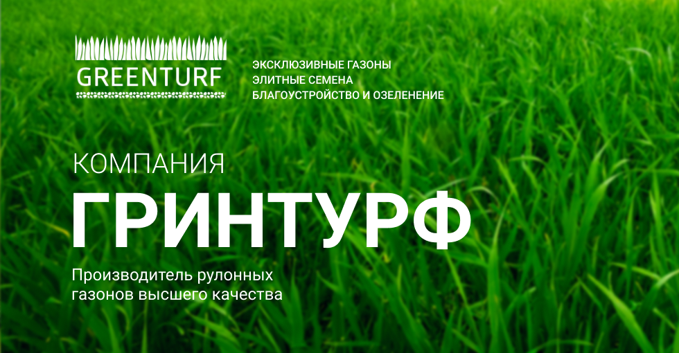 Рулонный газон цена за м2 в Москве — стоимость рулонного газона от производителя