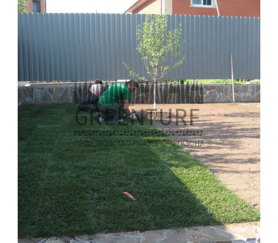 Укладка рулонного газона и озеленение участка - фото - 10