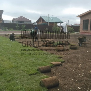 Устройство рулонного газона с заменой грунта - фото - 1